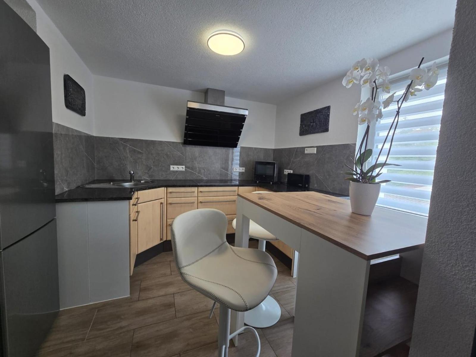 الدنغن مولهوفن Bodensee Sunshine Zimmer & Apts. المظهر الخارجي الصورة